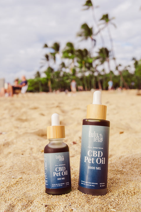 Animals CBD